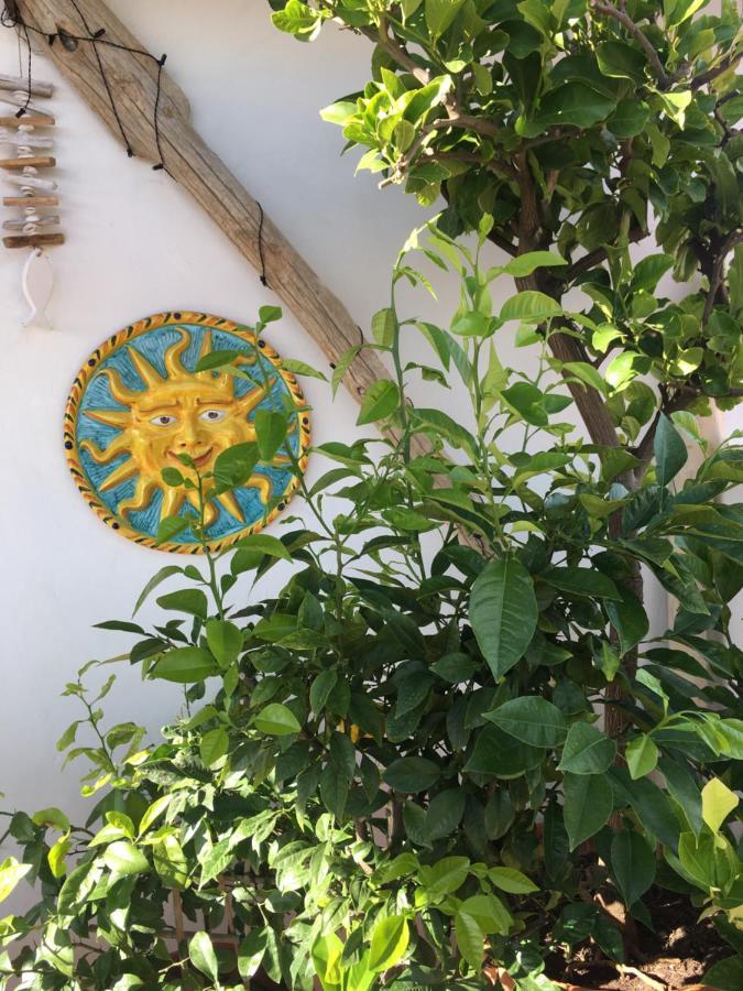 Bed and Breakfast La Terrazza Sui Tetti Senigallia Zewnętrze zdjęcie