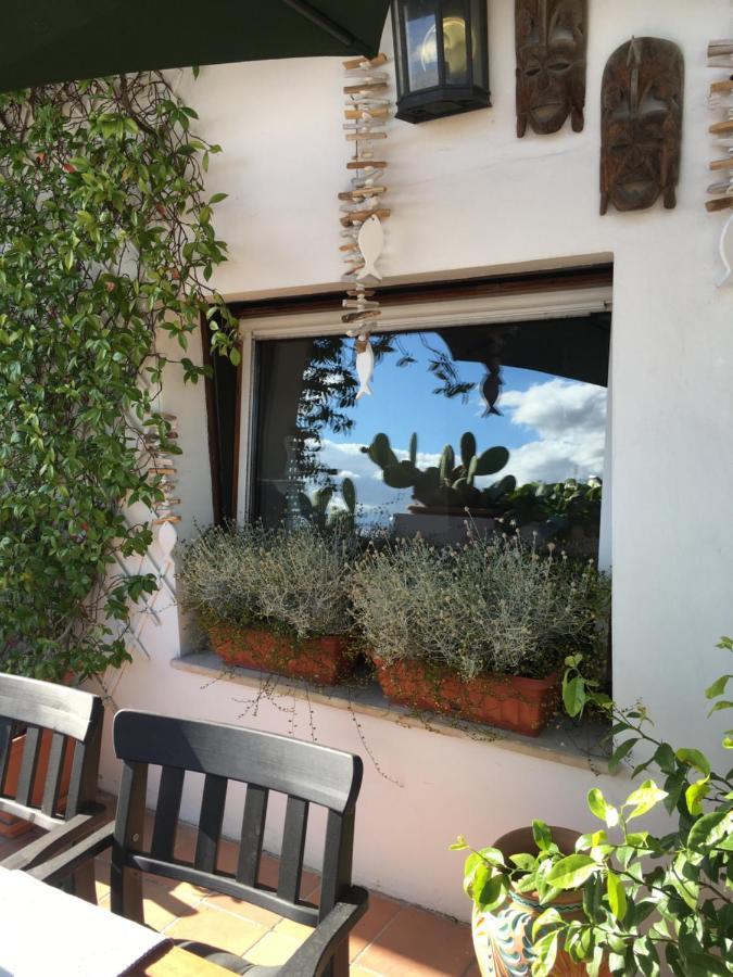 Bed and Breakfast La Terrazza Sui Tetti Senigallia Zewnętrze zdjęcie